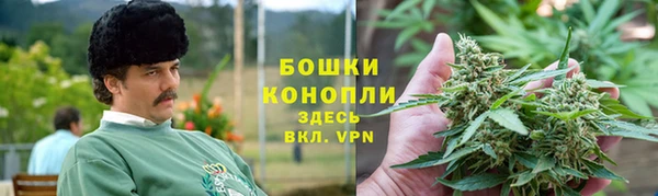 стаф Кинешма