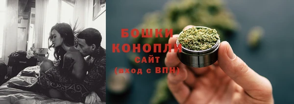стаф Кинешма