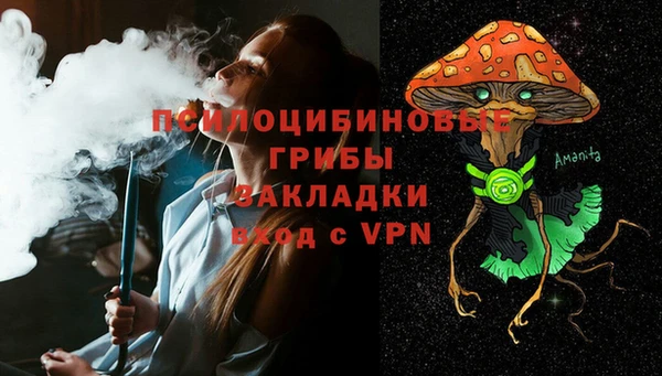 стаф Кинешма