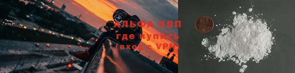 стаф Кинешма