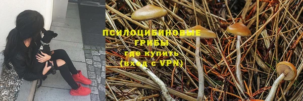 стаф Кинешма